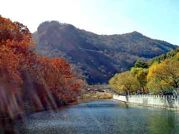 澳门二四六天天彩图库，油管吊卡